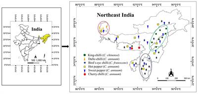 Ecology, genetic diversity, and population structure among commercial varieties and local landraces of Capsicum spp. grown in northeastern states of India